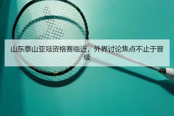 shan-dong-tai-shan-ya-guan-zi-ge-sai-lin-jin-wai-jie-tao-lun-jiao-dian-bu-zhi-yu-jin-ji-2-553.jpg